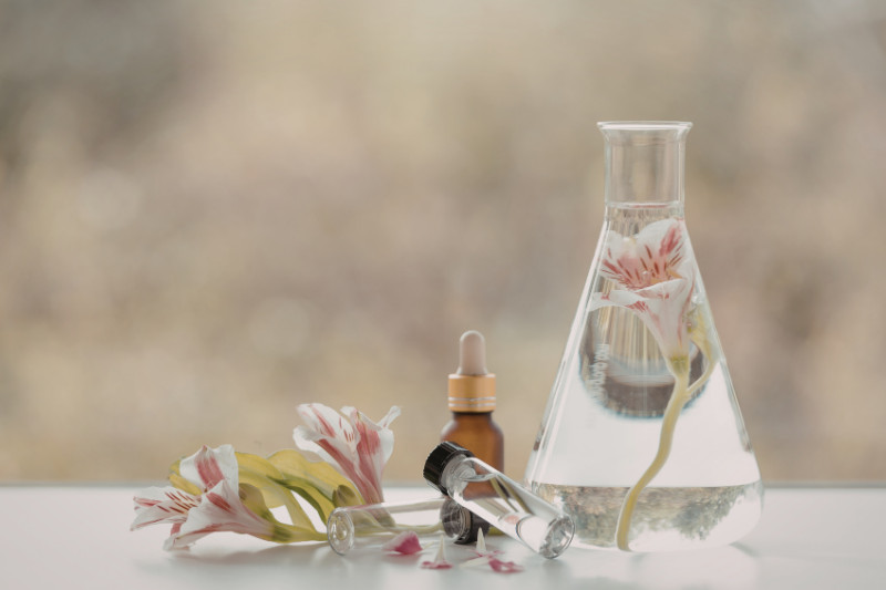 פתרון טבעי לדיכאון - הדרך הטבעית להקלה על חרדות ודיכאון עם פרחי באך